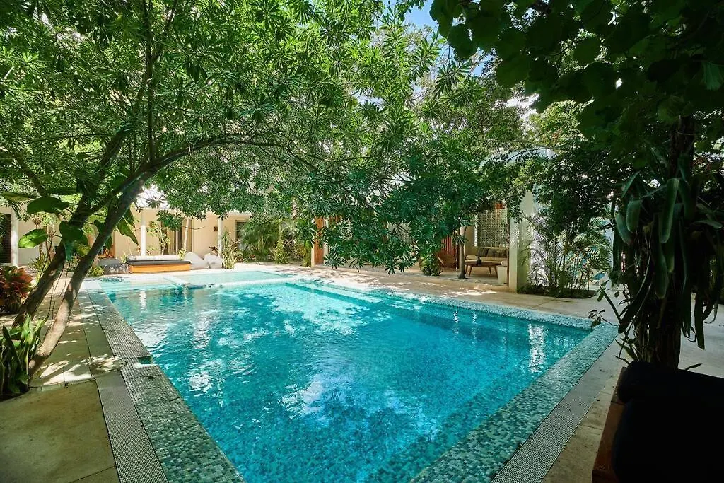 Carmela 101 Comfy&Cozy 2Br Apt With Best Location تولوم 0*,